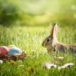 easter eggs pictures free download