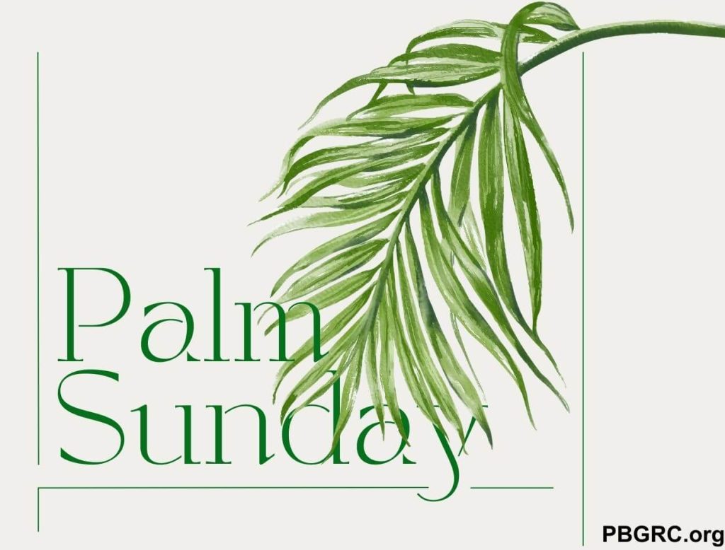 happy palm Sunday Wallpaper