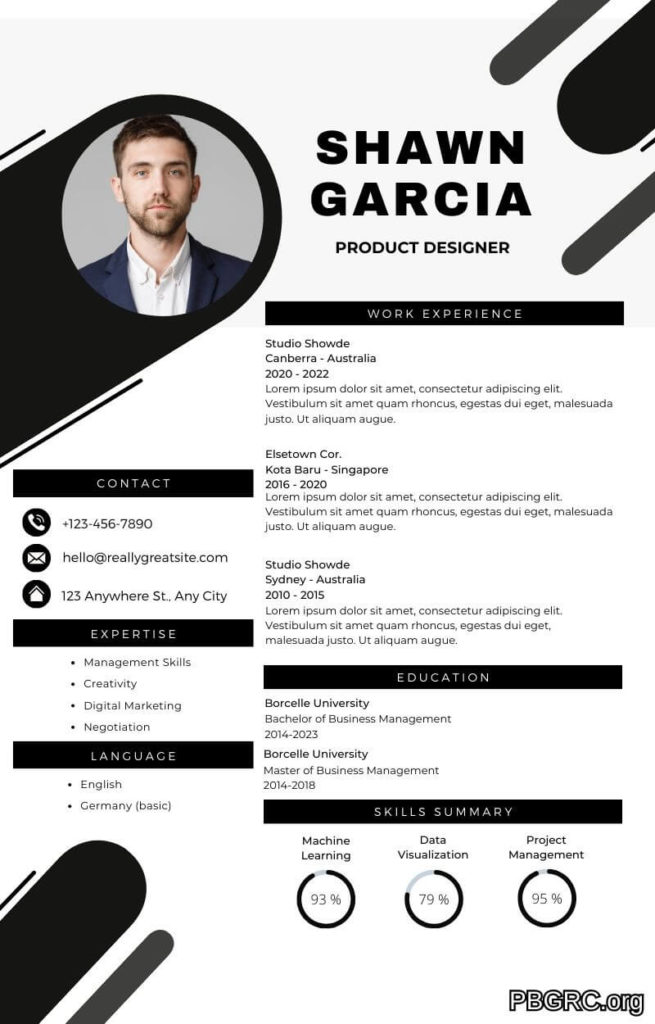professional resume template Free
