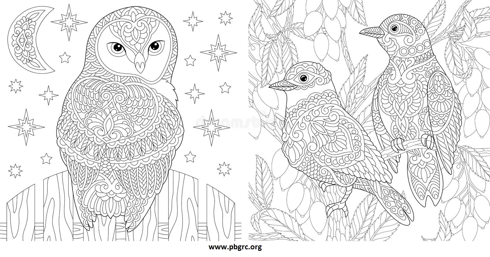 Adult Coloring Books Patterns