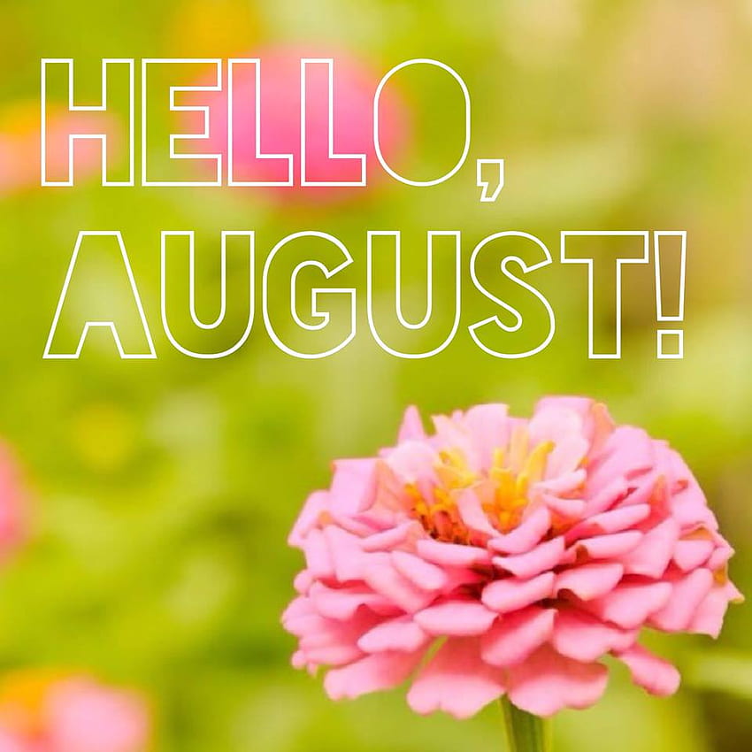 Best August Morning Quotes And Wishes
