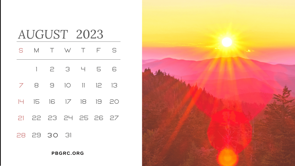 Cute August Calendar 2023 Wallpaper HD