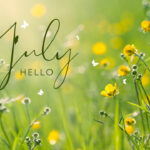 Hello July Wallpapers 2024