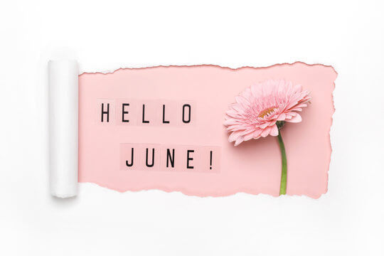 Hello June Images