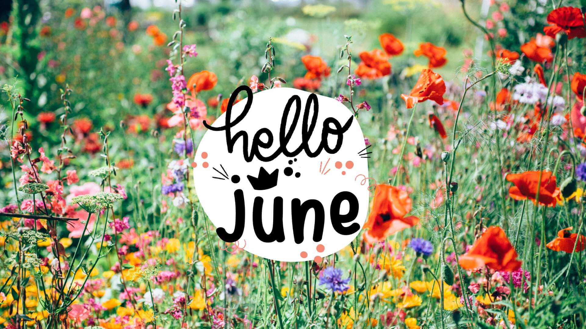Hello June Wallpaper Floral