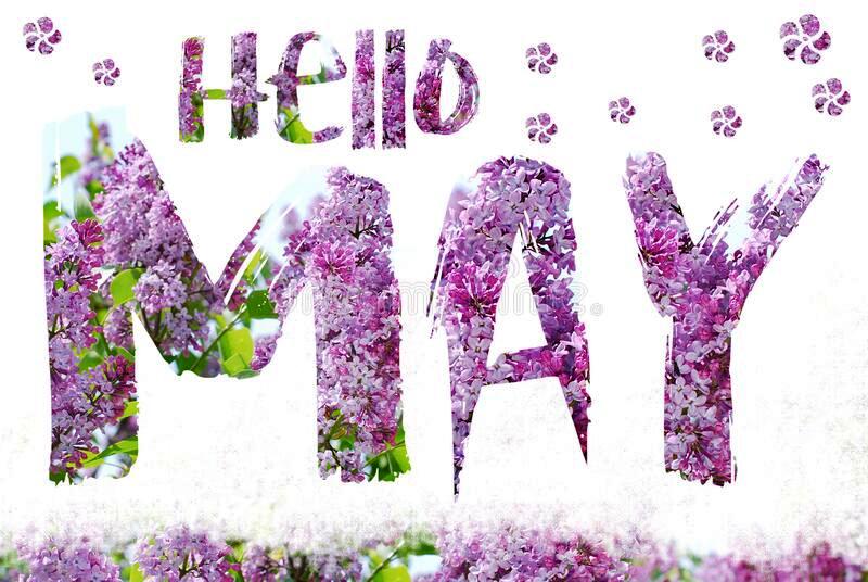 Hello May Images free Download