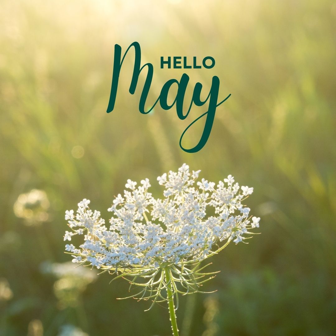 Hello May Photos and Pictures Free