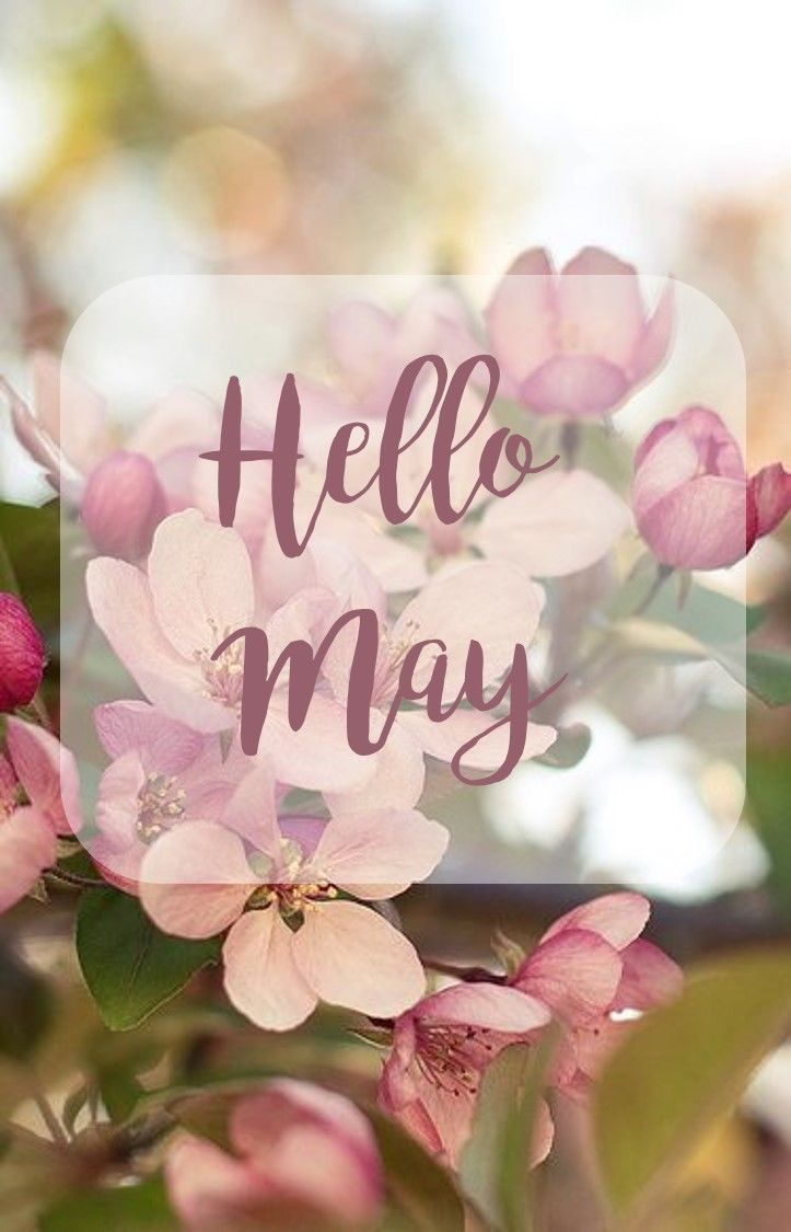 Hello May Pictures