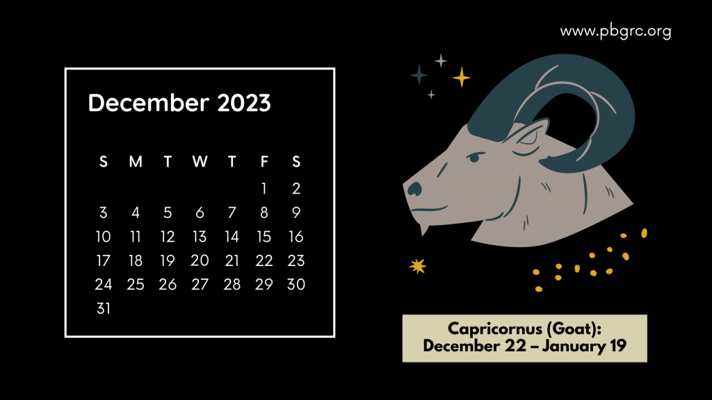 Zodiac Sign of December 2023