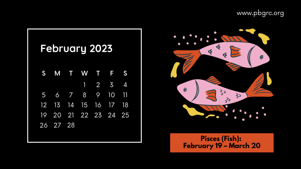 Zodiac Sign of February 2023