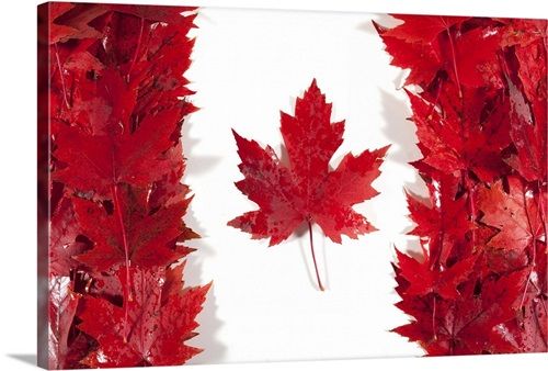 Canada Day Wallpaper Free Download