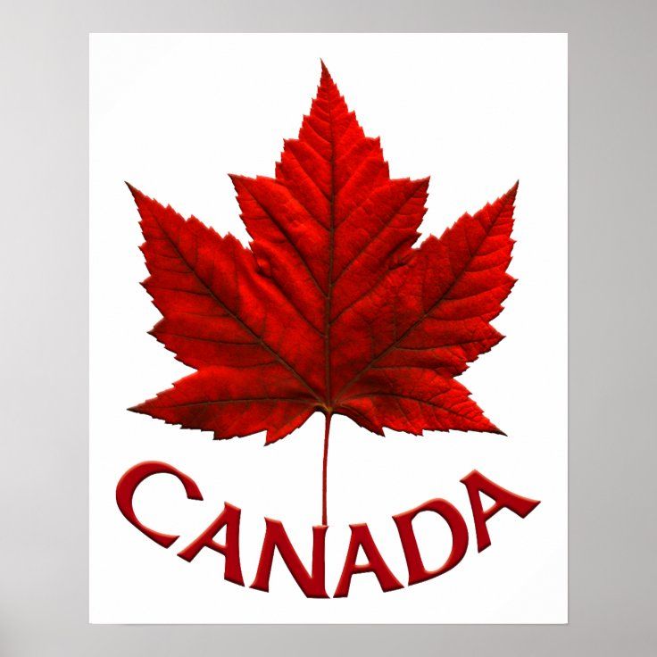 Canada Day Wallpaper Free