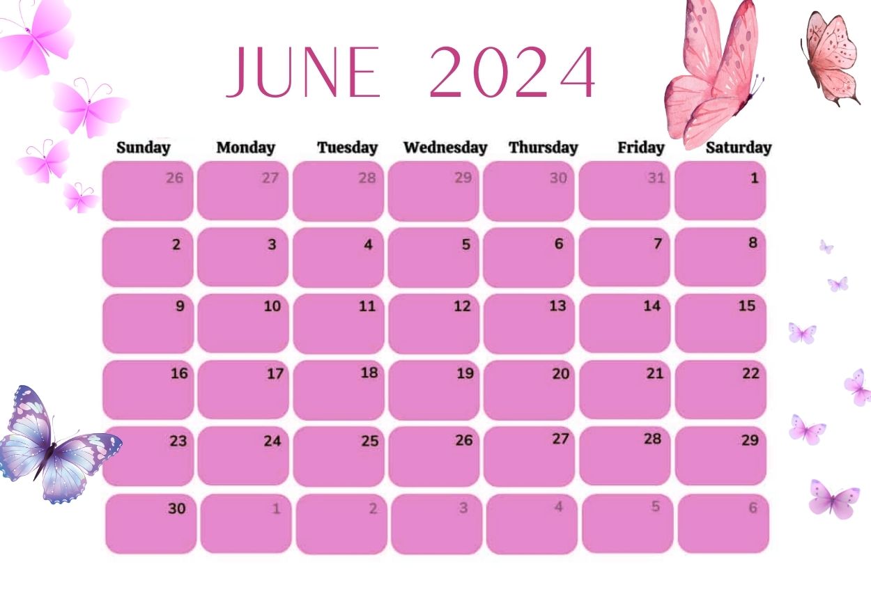 Cute June Calendar 2024 for home