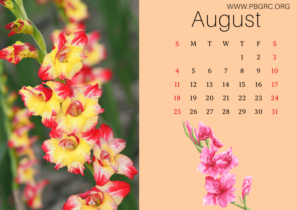 Floral August 2024 Calendar