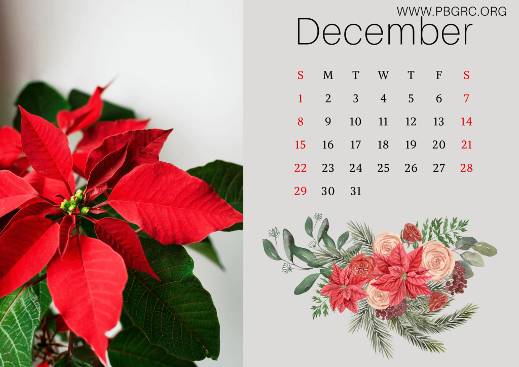 Floral December 2024 Calendar