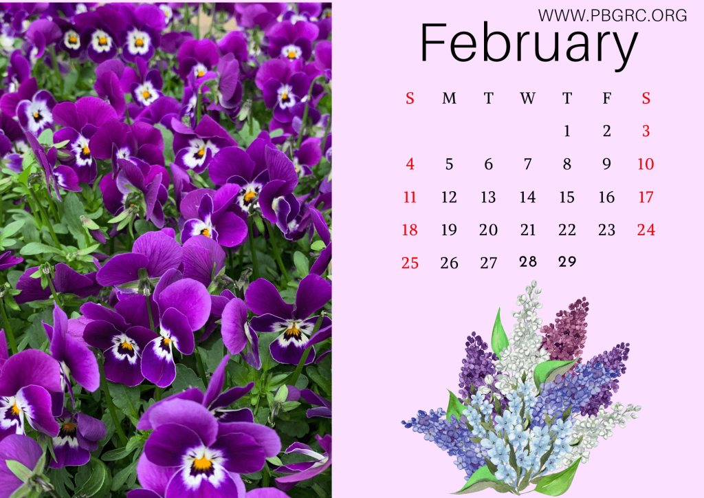 Floral February 2024 Calendar