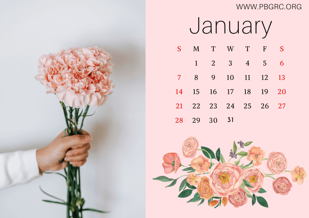 Floral January 2024 Calendar