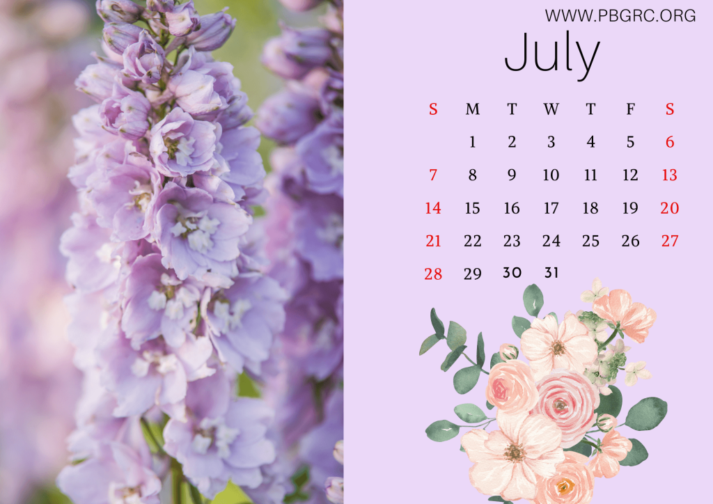 Floral July 2024 Calendar