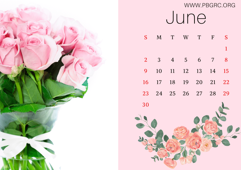 Floral June 2024 Calendar