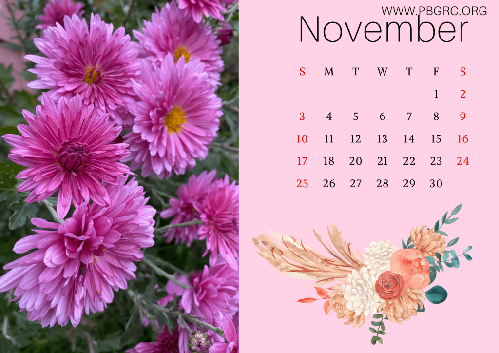 Floral November 2024 Calendar