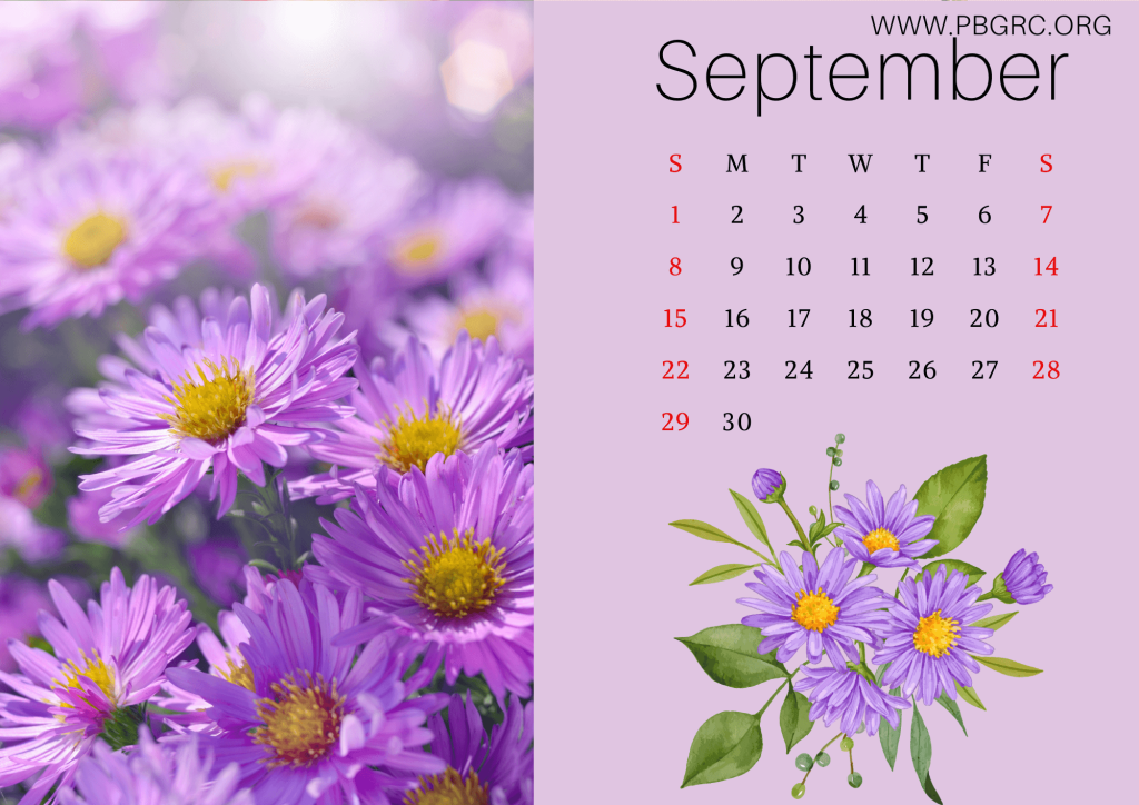 Floral September 2024 Calendar