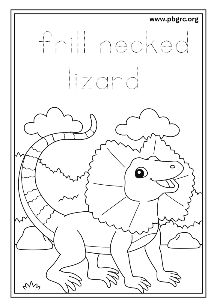 Frill necked Lizard Colouring Worksheets