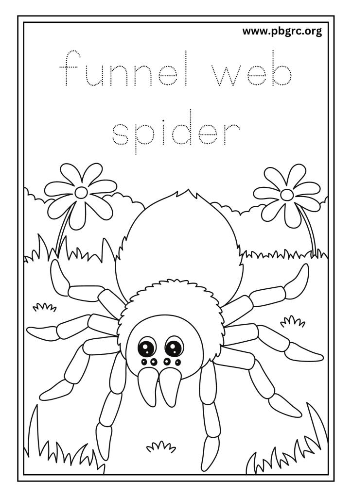 Funnel Web Spider Colouring Worksheets