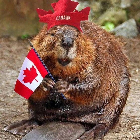 Happy Canada Day Images Gif