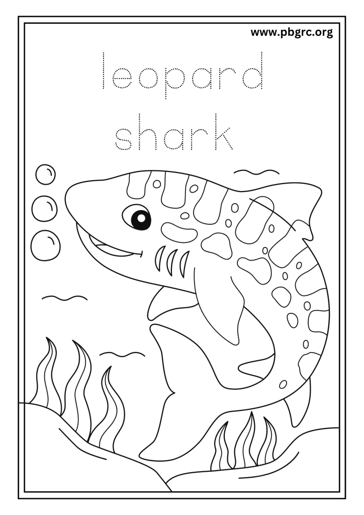 Leopard Shark Colouring Worksheets