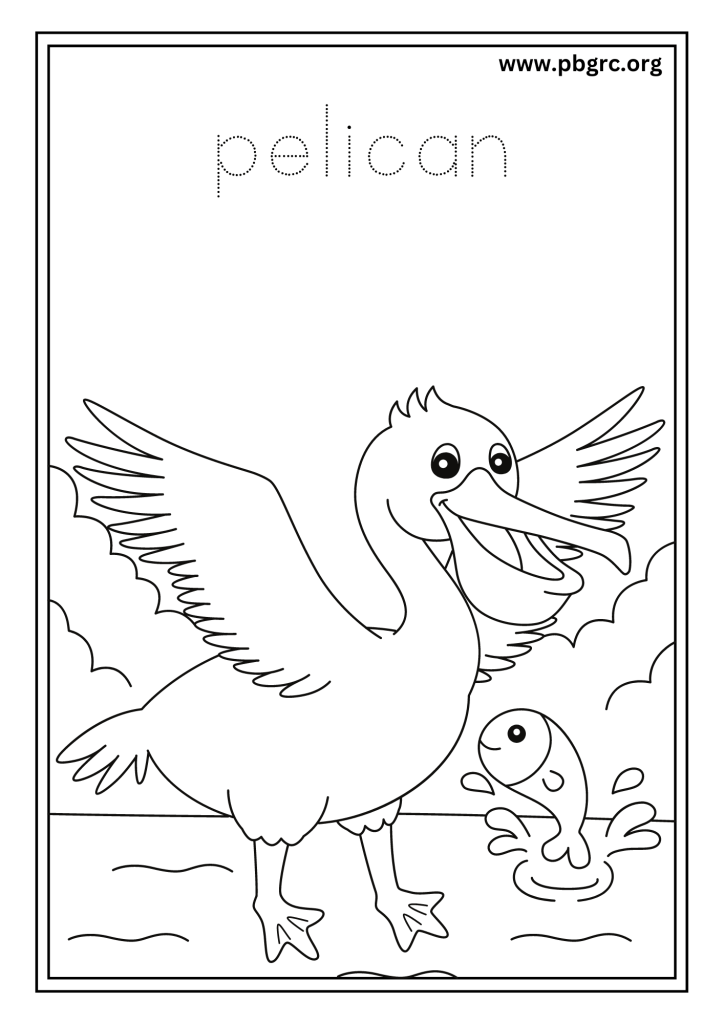Pelican Colouring Worksheets