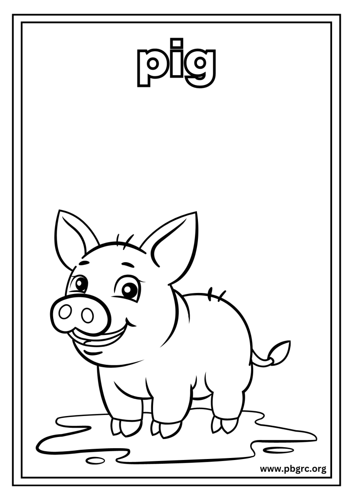 Pig Coloring sheet