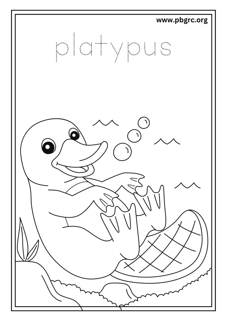 Platypus Colouring Worksheets