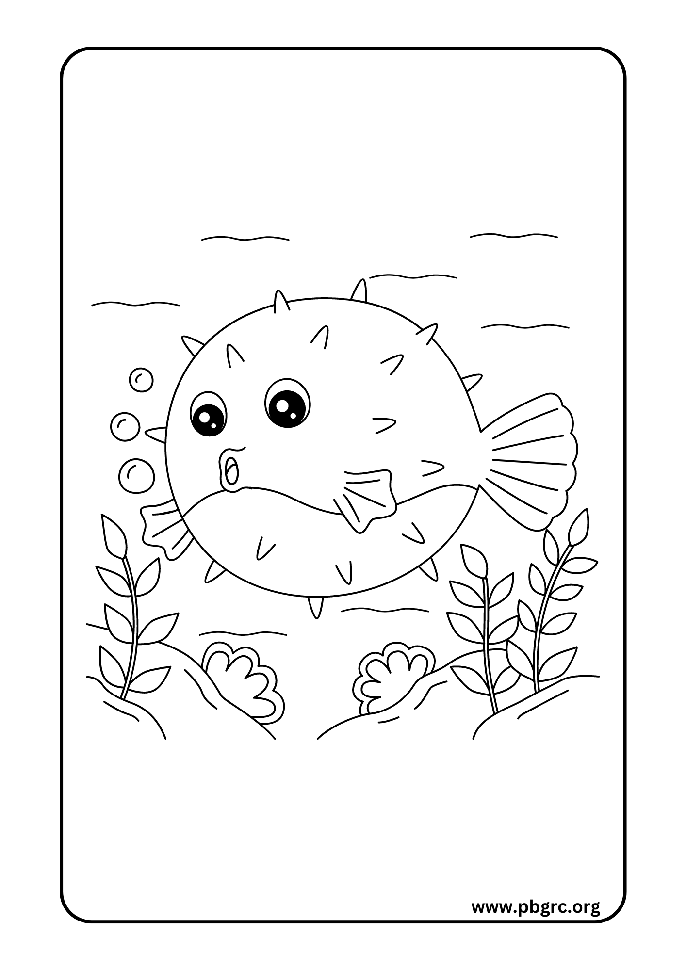 Sea Animal Coloring Pages
