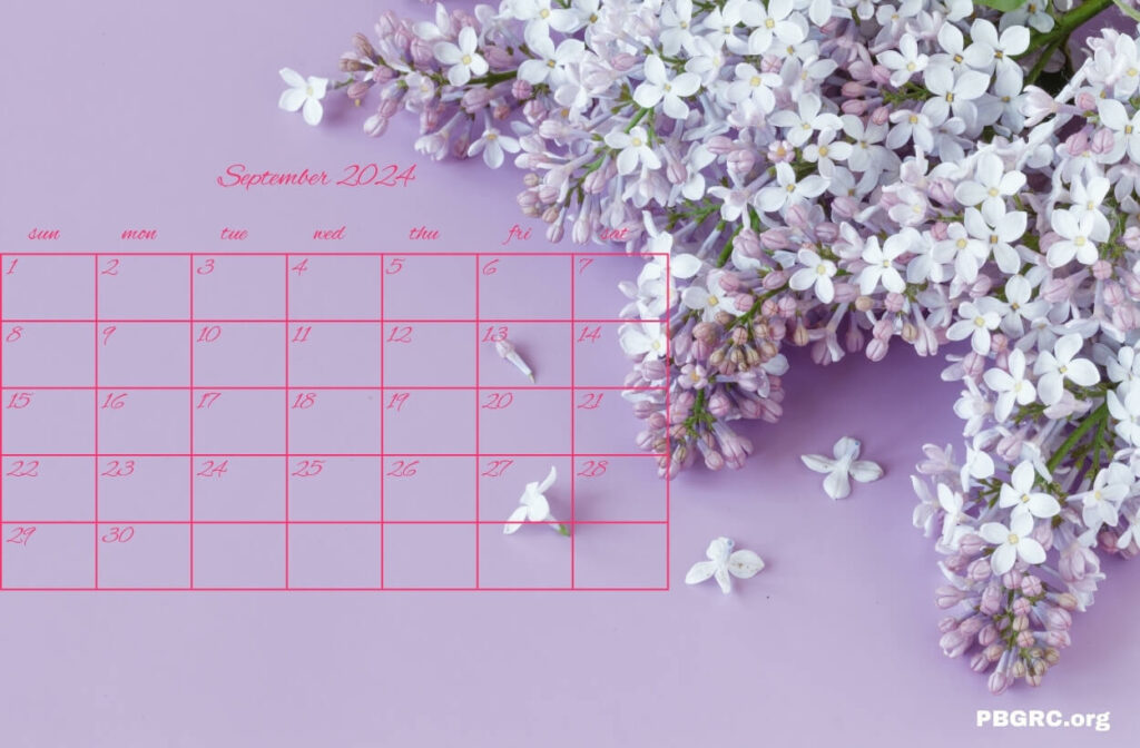 September 2024 Floral Calendar HD Wallpaper