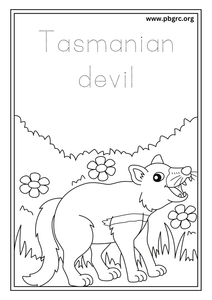 Tasmanian Devil Colouring Worksheets