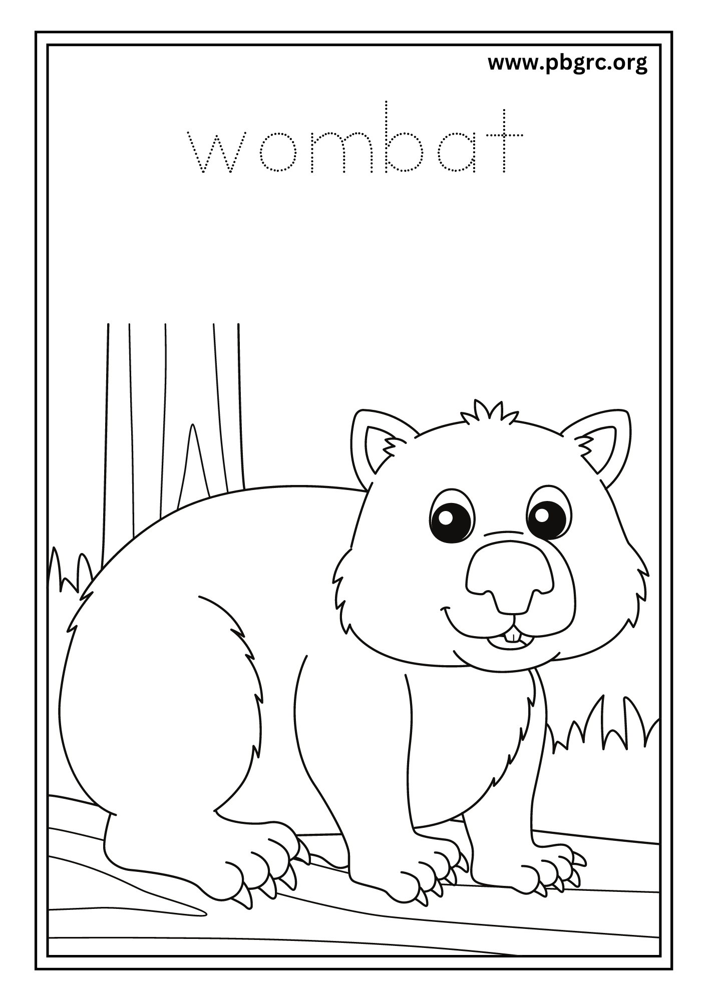 Wombat Colouring Worksheets