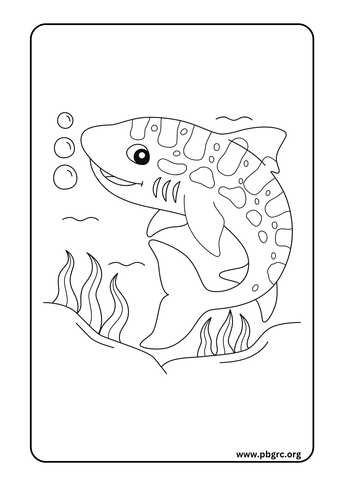Zoo Animal Coloring Pages
