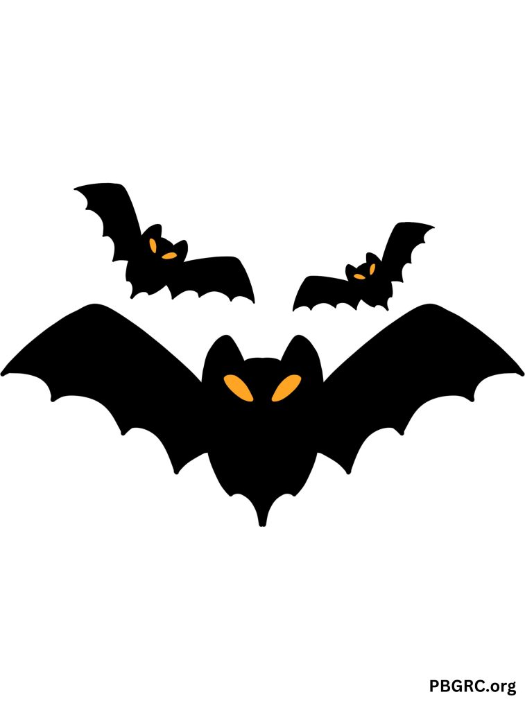 Baby Bat Groupe