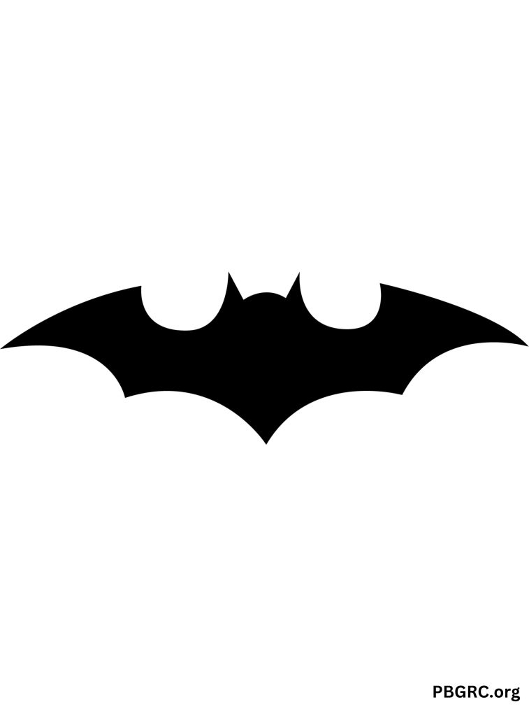 Bat Man Symbol