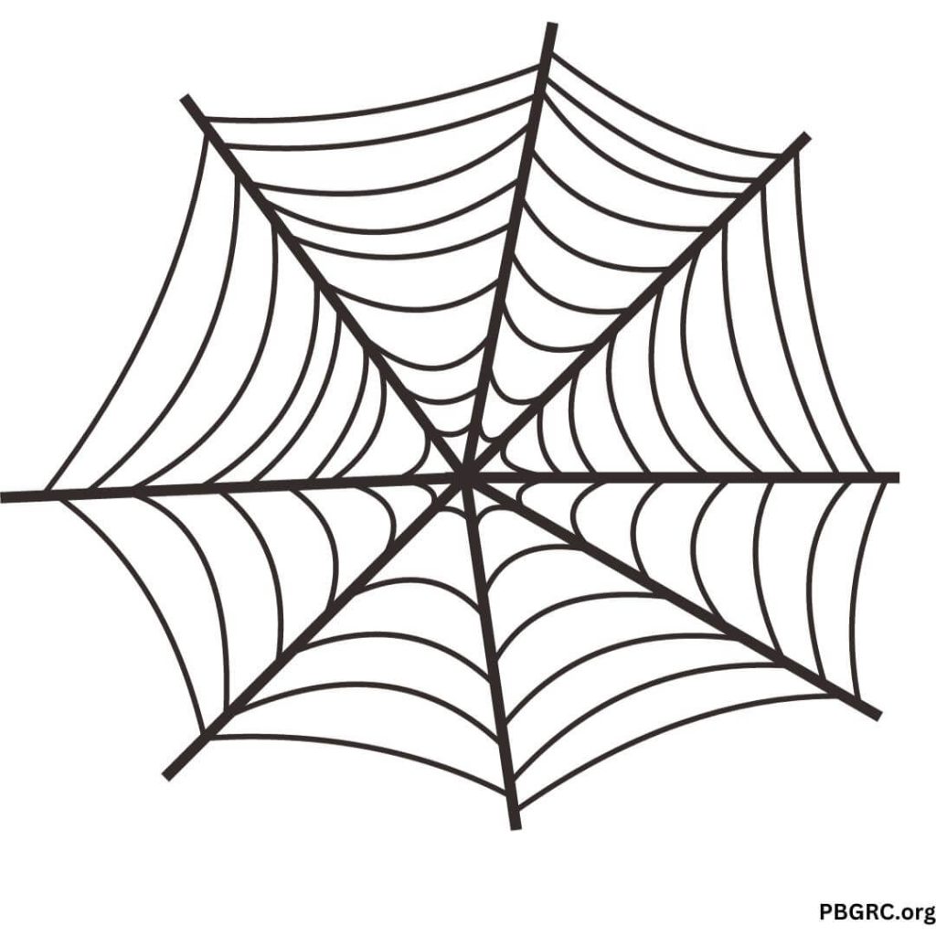 Craft Spider Web