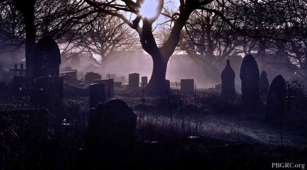 Halloween Spooky Image
