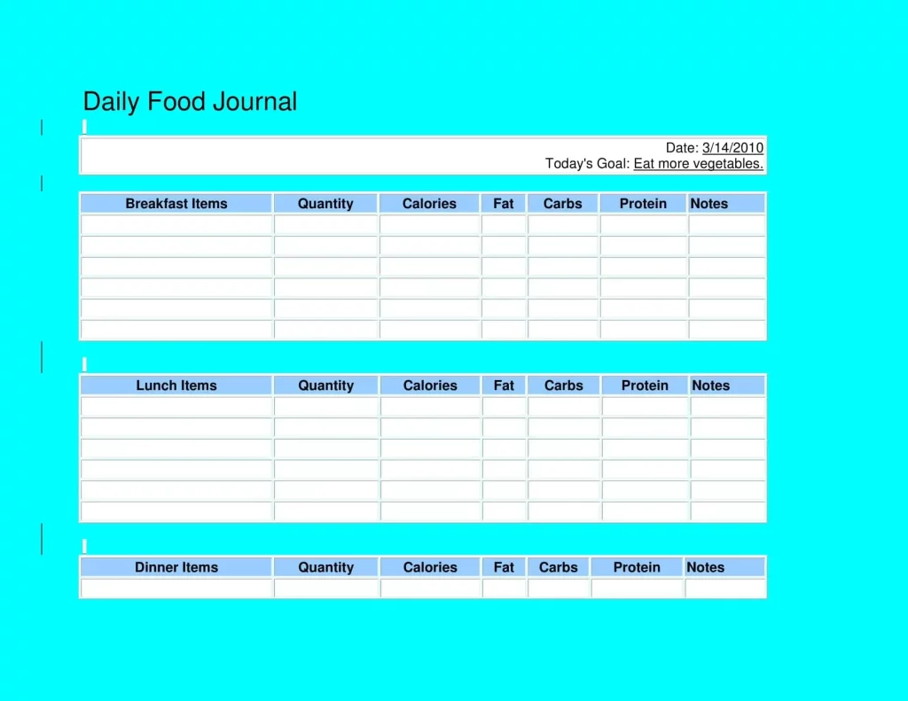 daily food journal template