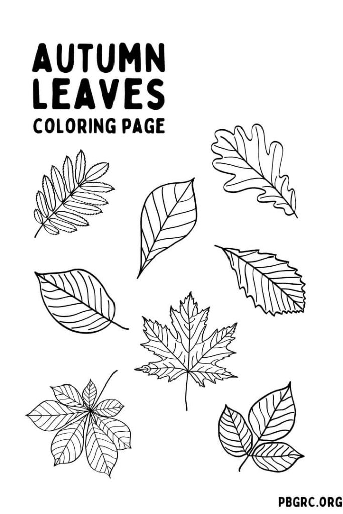 Free Thanksgiving Coloring page