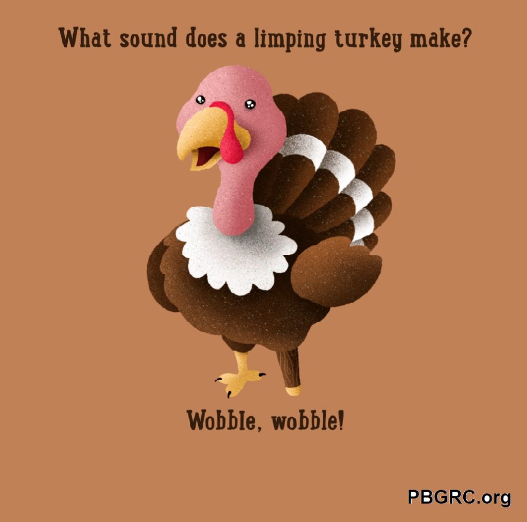 funny thanksgiving one liners
