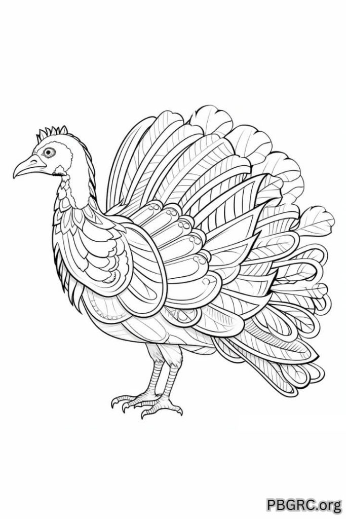 turkey coloring pages ready to colored