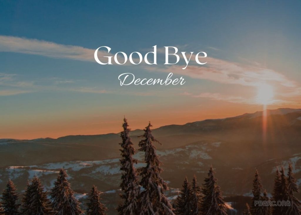 Good Bye December